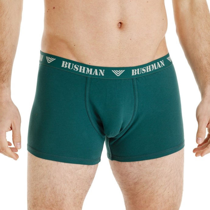Bushman Men's boxer shorts Edward II, petrol