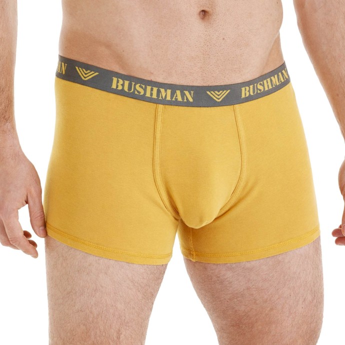 BUshman Men's Boxer Shorts Edward II, yellow