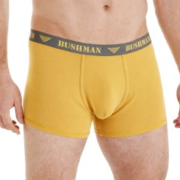 BUshman Men's Boxer Shorts Edward II, yellow