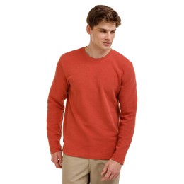 BUSHMAN Men's cotton T-shirt Vigold, terracotta