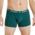 Bushman Men's boxer shorts Edward II, petrol