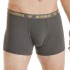 Bushman Men's Boxer Shorts Edward II, dark grey