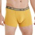 BUshman Men's Boxer Shorts Edward II, yellow