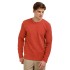 BUSHMAN Men's cotton T-shirt Vigold, terracotta